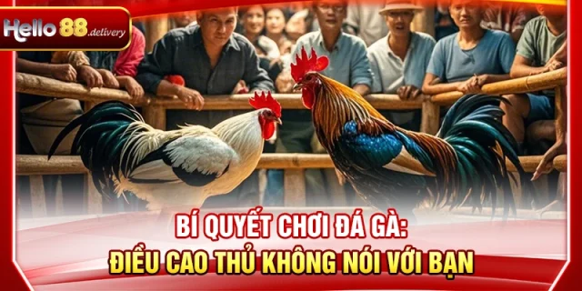 Bí Quyết Chơi Đá Gà HELLO88: Điều Cao Thủ Không Muốn Hé Lộ