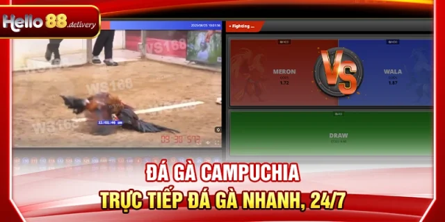 Đá Gà Campuchia - Trực Tiếp Đá Gà Nhanh, 24/7