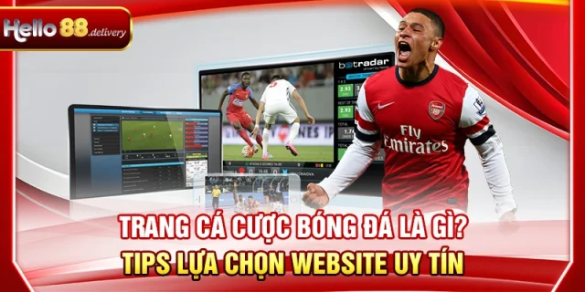 Trang Cá Cược Bóng Đá Là Gì? Tips Lựa Chọn Website Uy Tín