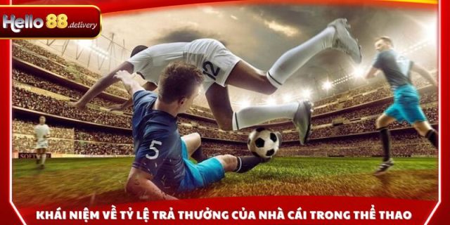 Khái niệm về tỷ lệ trả thưởng của nhà cái trong thể thao 