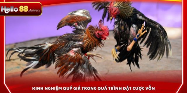 Kinh nghiệm quý giá trong quá trình đặt cược vốn