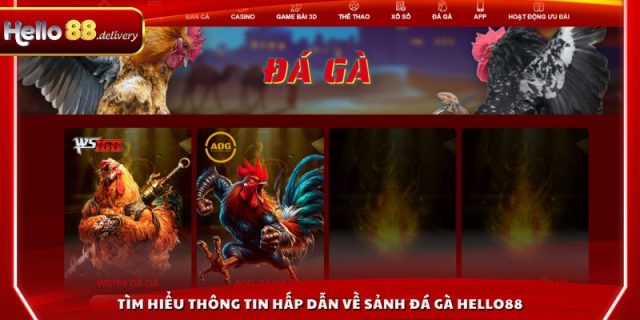 Tìm hiểu thông tin hấp dẫn về sảnh đá gà HELLO88